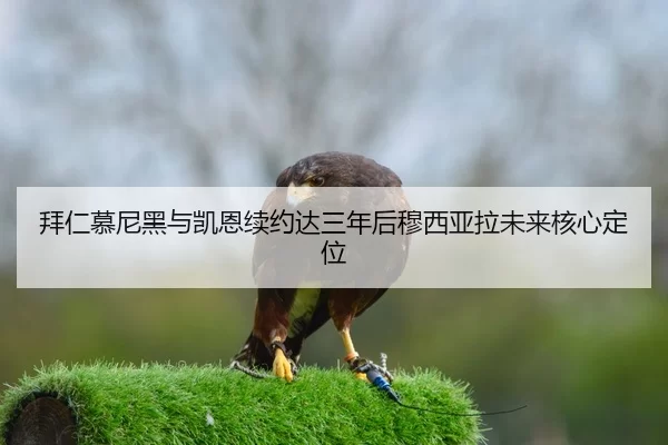 bai-ren-mu-ni-hei-yu-kai-en-xu-yue-da-san-nian-hou-mu-xi-ya-la-wei-lai-he-xin-ding-wei-3-197.jpg